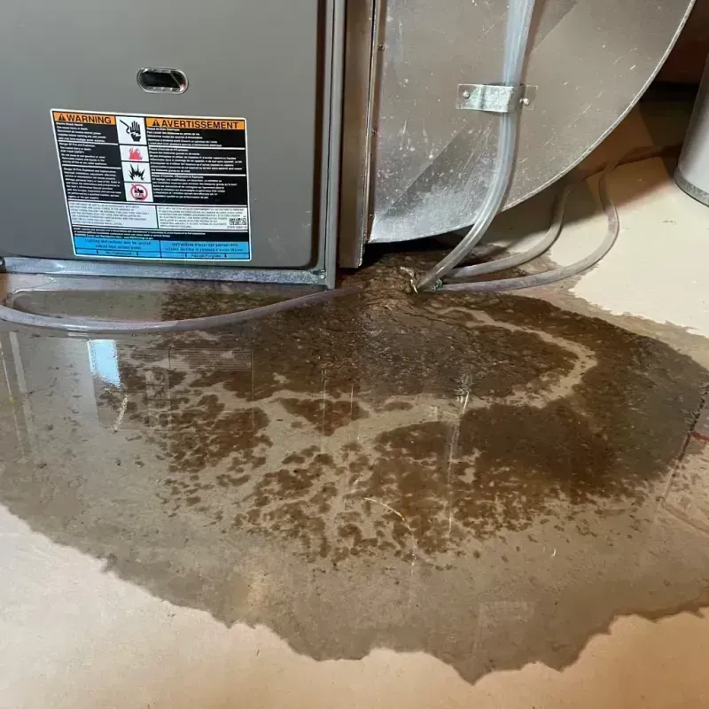 Appliance Leak Cleanup in Ashland, KY